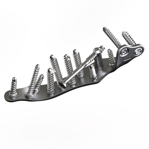 Axis Plates